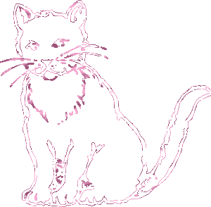 chat