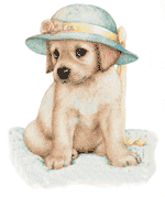 chien